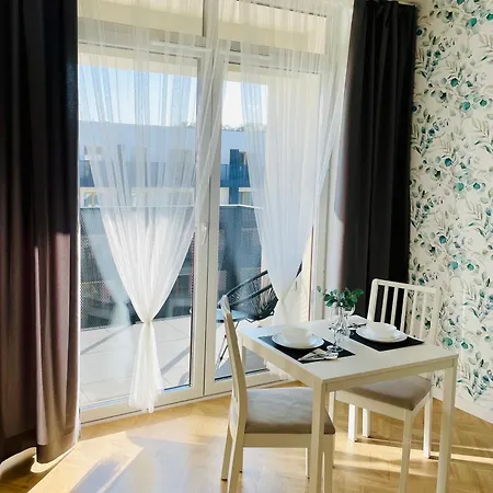 Cool * カトヴィツェ