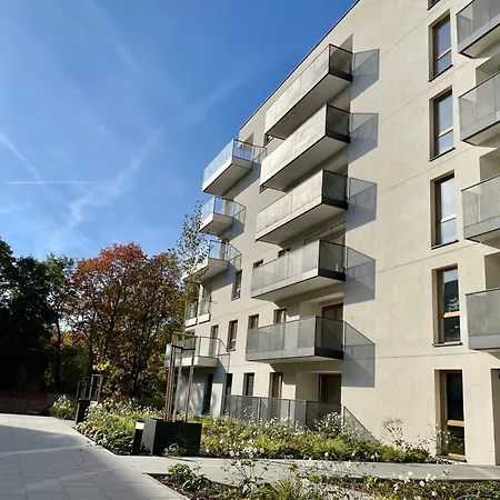 Cool * カトヴィツェ